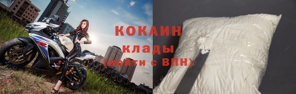 дживик Кинешма