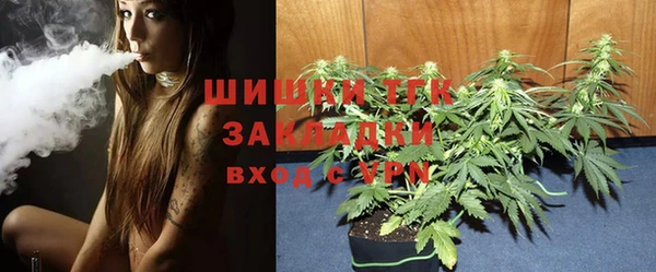 spice Киреевск