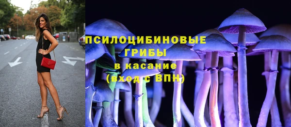 spice Киреевск